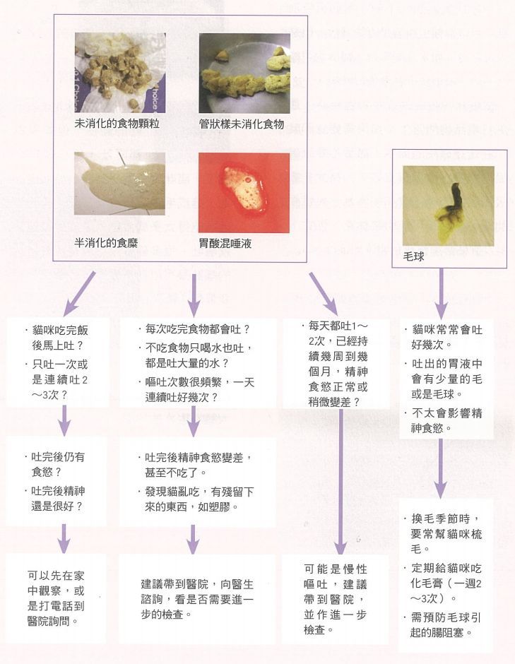 探究呕吐包的神秘面纱，定义、作用与重要性