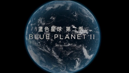 探索Serto的独特魅力