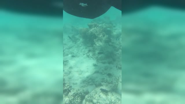 产品展示 第119页