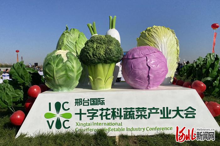 河北种业信息网官网——连接种子科技与农业发展的桥梁