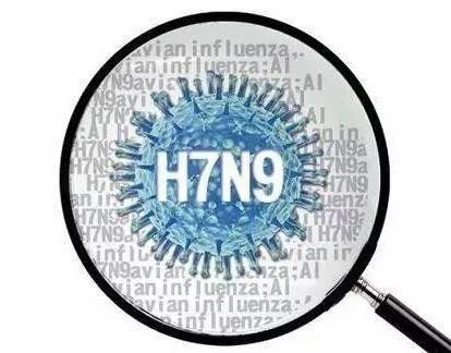 害羞草实验研究所黄页——探索与发现的源泉