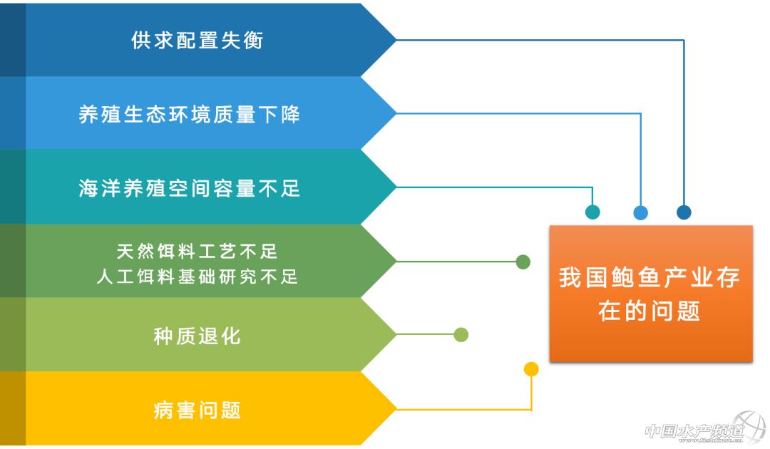 鲍鱼网站，探索海洋美食文化的数字门户