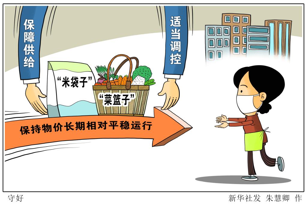 杭州物价网菜篮子，城市生活的日常与民生关怀的交汇点