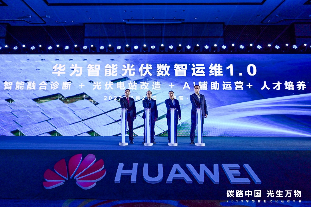中国养鸡网，引领家禽产业迈向新时代