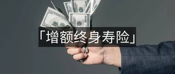 新闻中心 第92页