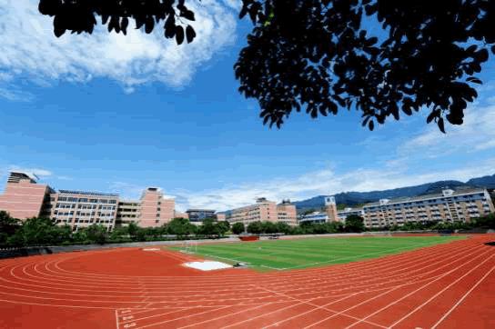 重庆数字图书馆登录，探索数字阅读的未来之路