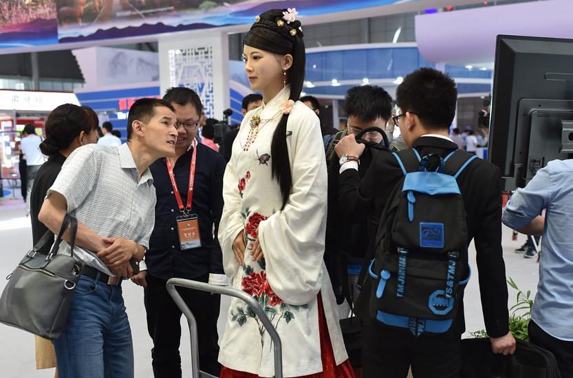 美女机器人佳佳价格，未来科技的魅力与价值