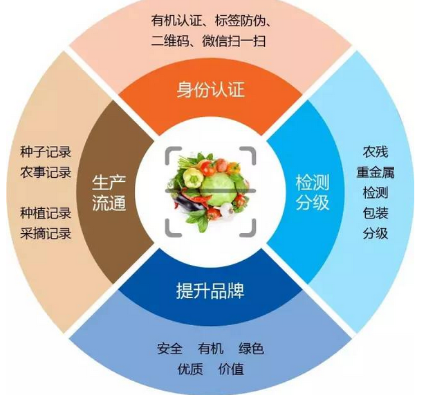 第一食品网，引领食品安全与品质革新的先锋平台