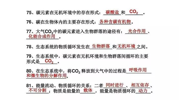 欧式起重机 第10页