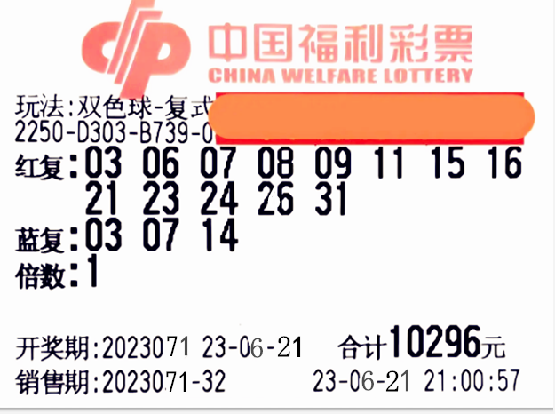 东北彩票网，连接梦想与现实，开启财富新篇章