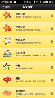 中国彩网，探索彩票世界的数字魅力与无限可能