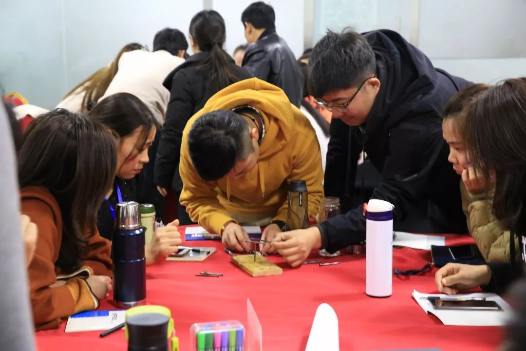 组三，探索、协作与成长的力量