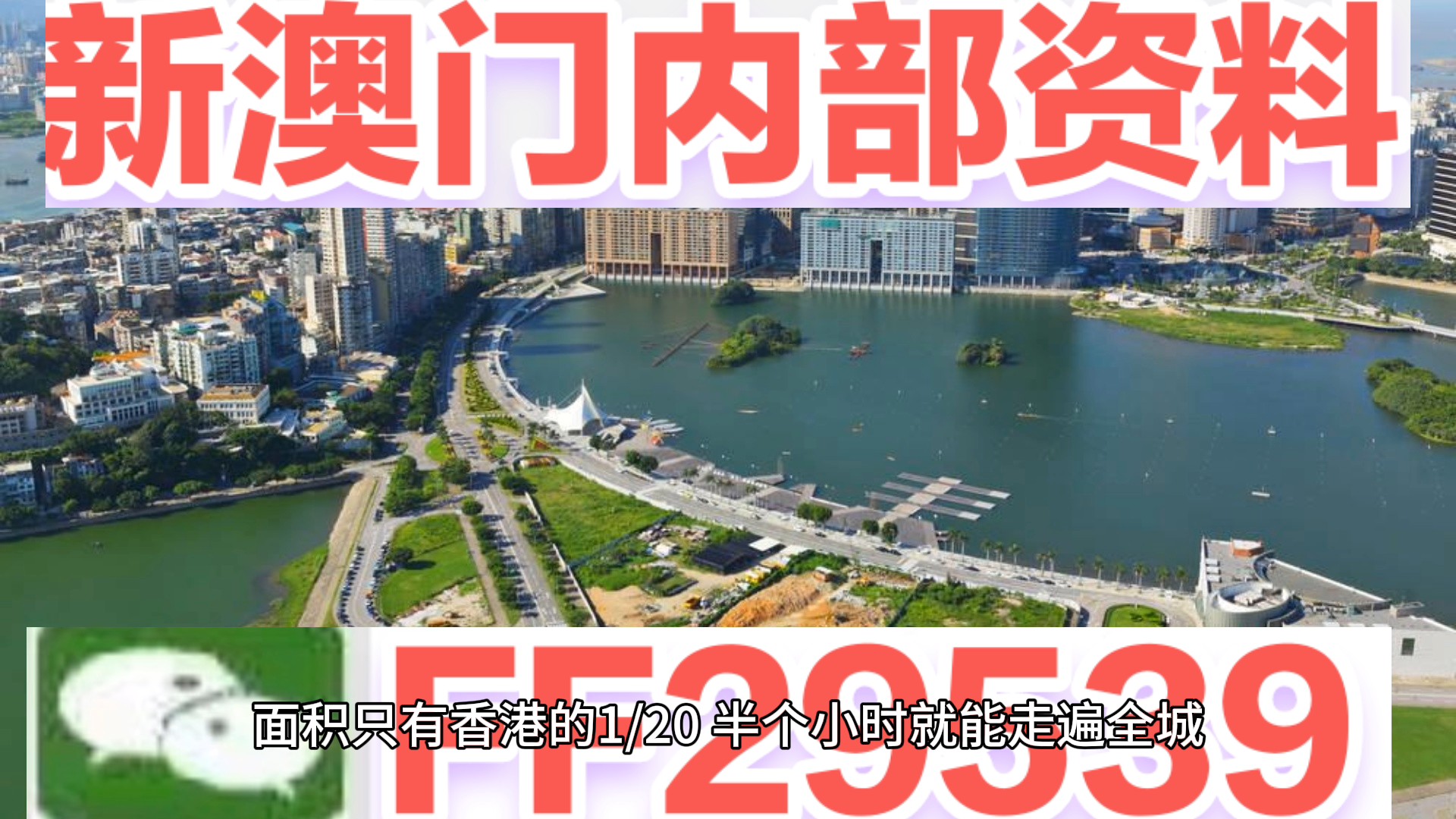 2023年澳门今晚开奖结果图