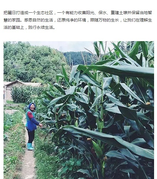 采摘网与布衣天下的交融，探索自然与生活之美