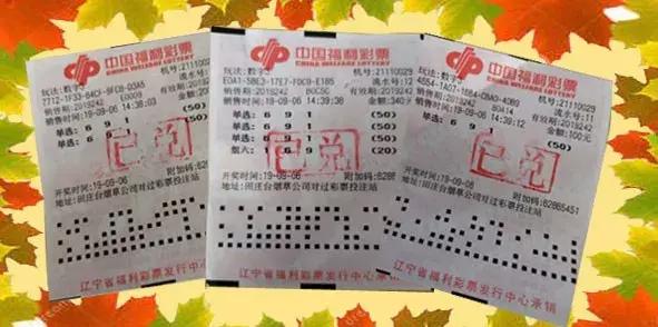 探索未知领域，揭秘3D谜彩迷图的世界